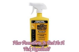 Permethrin Tick Repellent