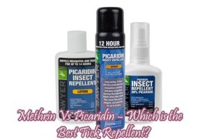 methrin Vs Picaridin – Which is the Best Tick Repellent