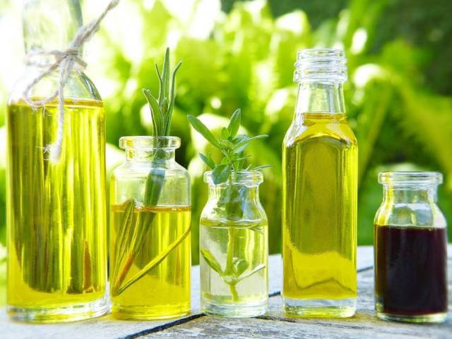 essential oils are obtained from plants