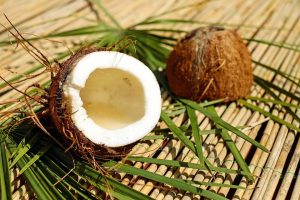 coconut oil for insect repellent and tick repellent