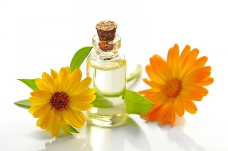 Picaridin vs DEET Which Bug Repellent Is Better?