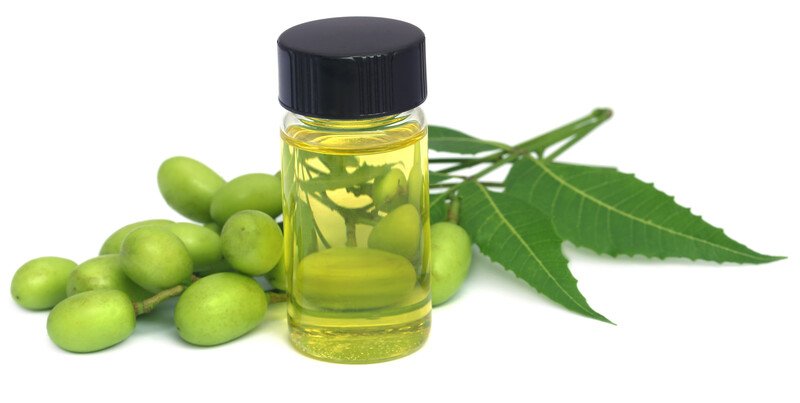 neem oil and fruit