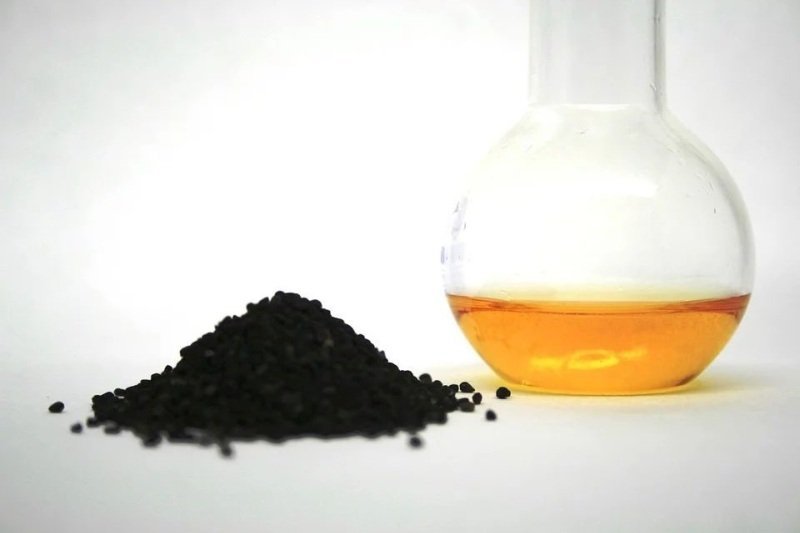 black seed oil nigella sativa