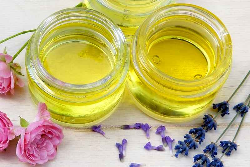 lavendula oil does lavender repel ticks